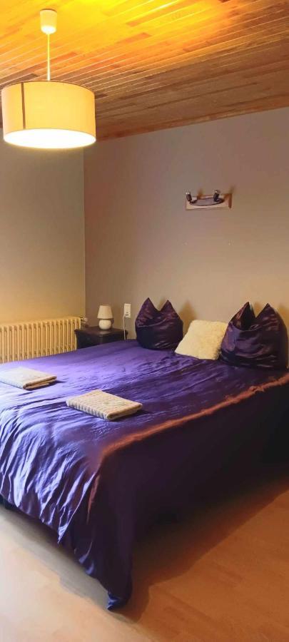 Le Retro Bed and Breakfast Abondance Exteriör bild